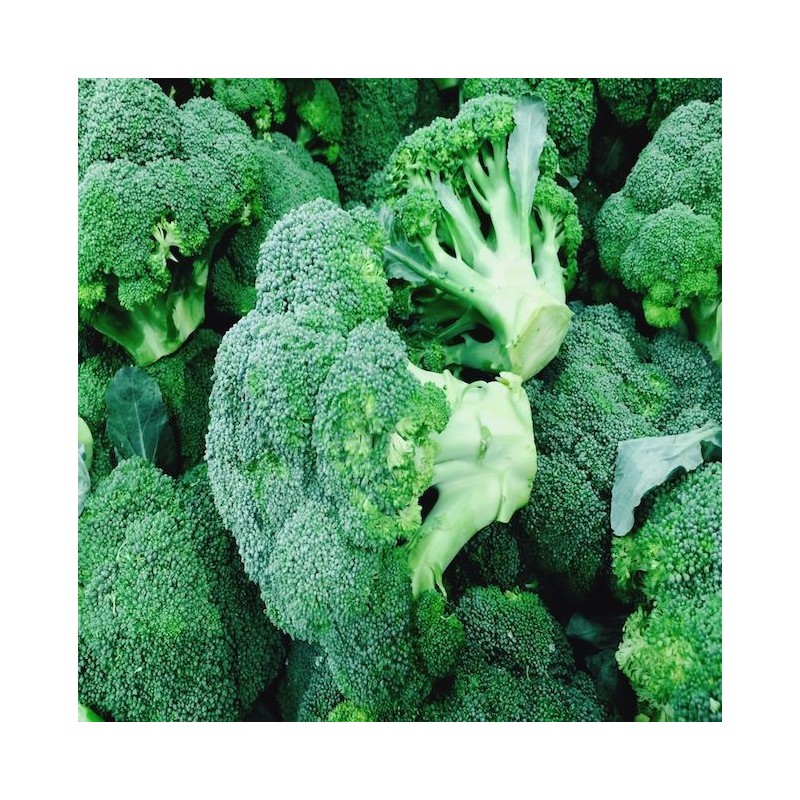 Broccoli
