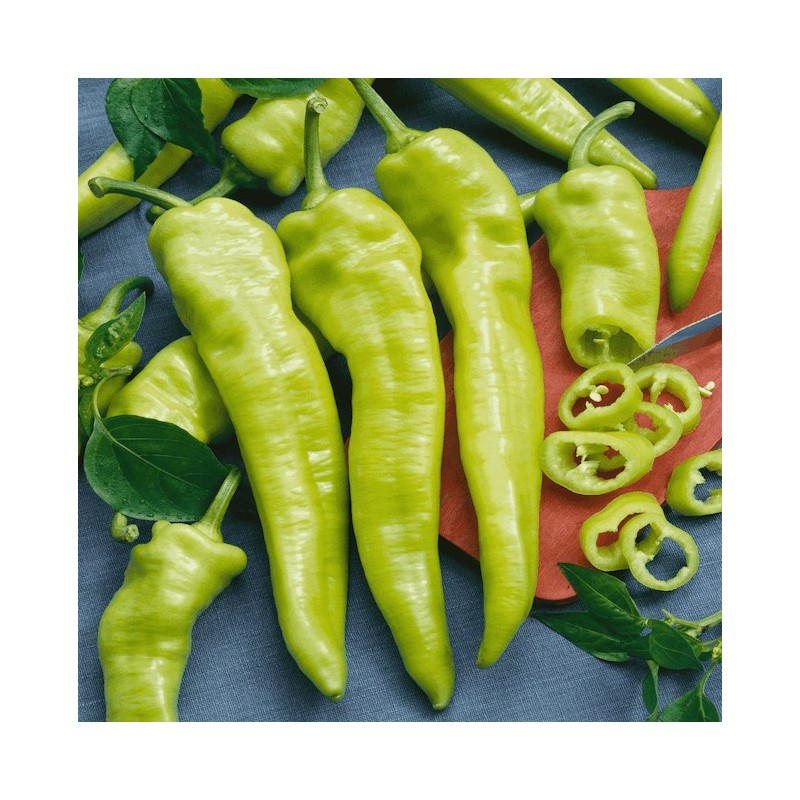 Hungarian Hot Pepper