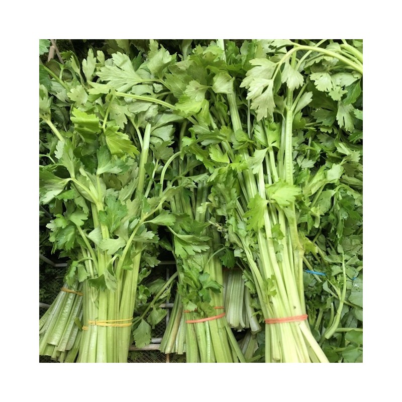 Chinese Celery
