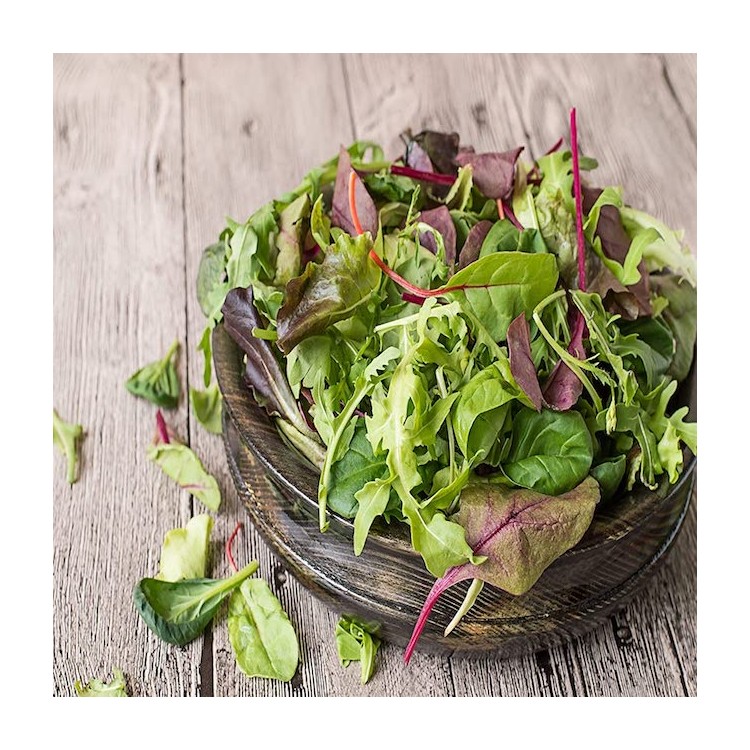 BEGINNERS VEGETABLE GARDEN SEED PACK BUY GARDEN SEEDS ONLINE