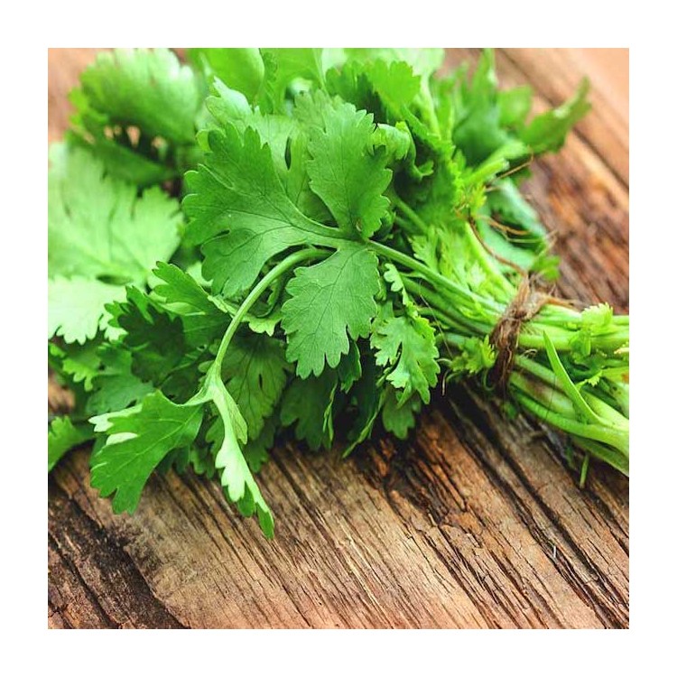 DELUXE HERB GARDEN Buy Garden Seeds Online Zappa seeds