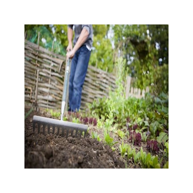 SIMPLE GARDEN COLLECTION - 12 PACK