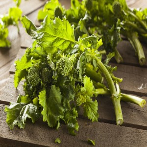 Rapini 40 Days