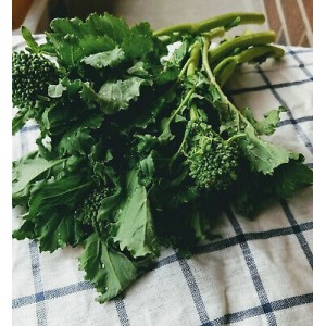 Rapini 60 Days