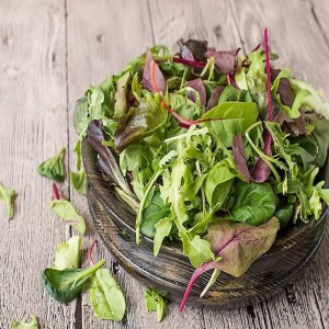 Baby Leaf Lettuce Mix