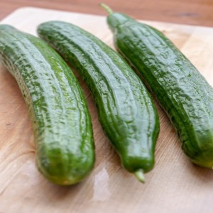 Chinese Cucumber Long