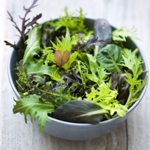 Salad Leaf Oriental Mix