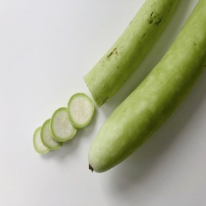 Cucuzza Squash