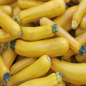 Zucchini Yellow