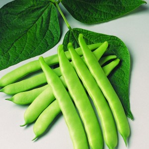 Bean Super Marconi (Pole)