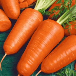 Red Cored Chantenay Carrot