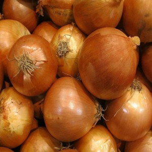 Yellow Onion