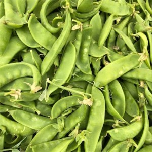 Snow Pea (Stringless Edible...