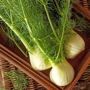 Fennel Romanesco