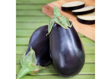 Eggplant, Black Beauty, "Treated"