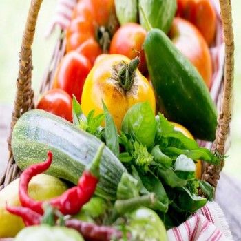 BEGINNERS VEGETABLE GARDEN...