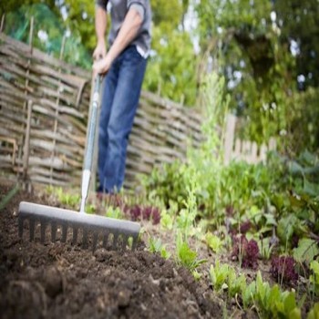 SIMPLE GARDEN COLLECTION -...