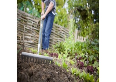 SIMPLE GARDEN COLLECTION - 12 PACK