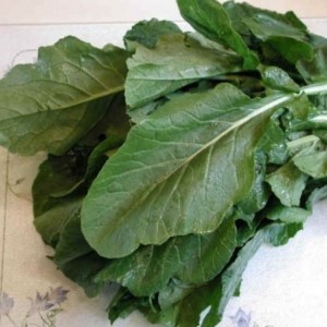 Turnip Leaf