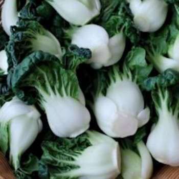 Ho Tau Bok Chinese Cabbage